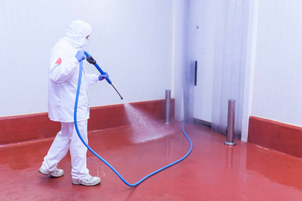 Best Spring Cleaning  in San Juan Pistrano, CA