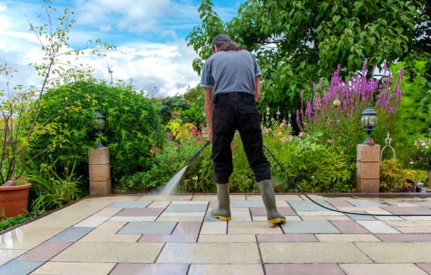 Best Pre-Holiday Cleaning  in San Juan Pistrano, CA